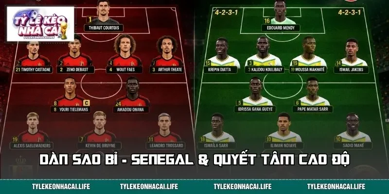 Dàn sao Bỉ - Senegal & quyết tâm cao độ