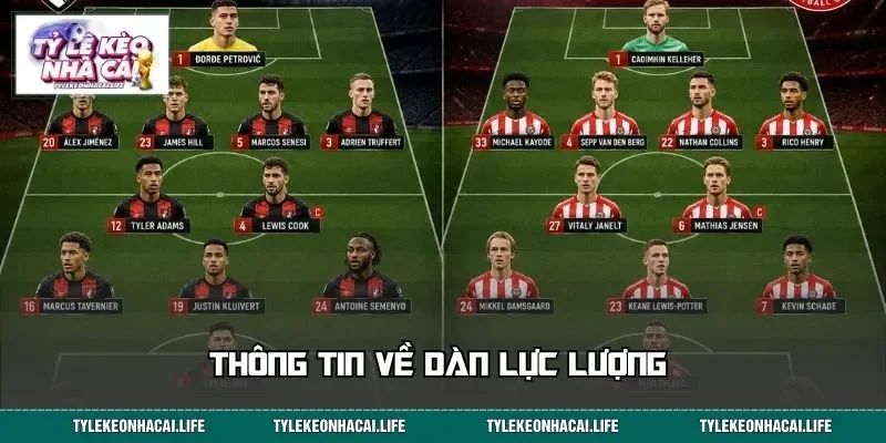 Thông tin về dàn lực lượng&nbsp;