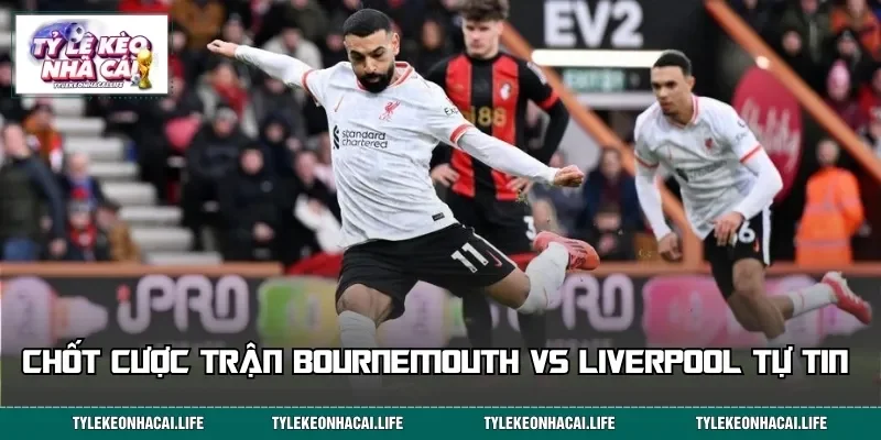 Chốt cược trận Bournemouth vs Liverpool tự tin&nbsp;