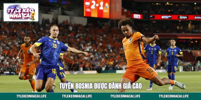 Tuyển Bosnia được đánh giá cao