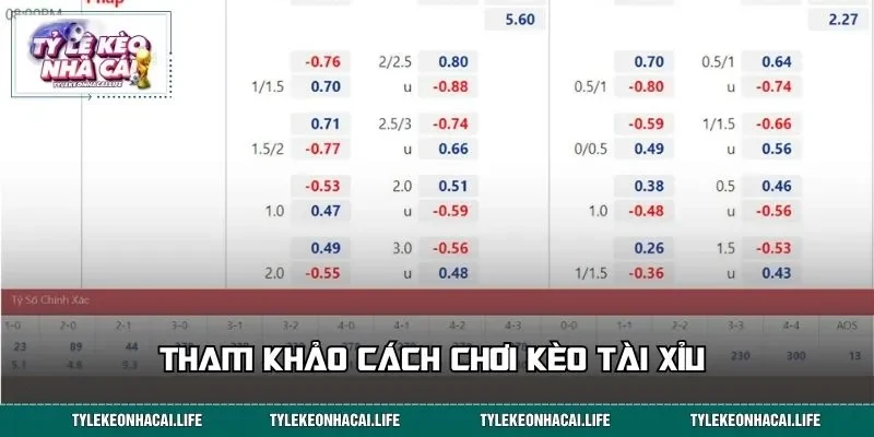Tham khảo cách chơi kèo Tài Xỉu&nbsp;