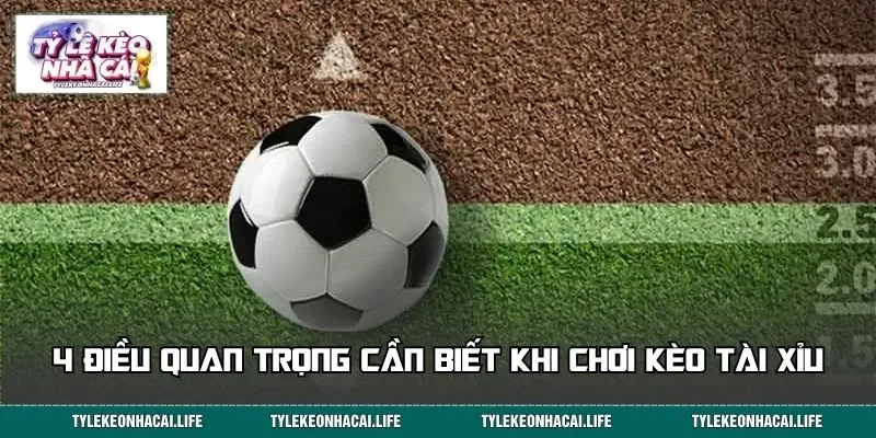4 điều quan trọng cần biết khi chơi kèo Tài Xỉu