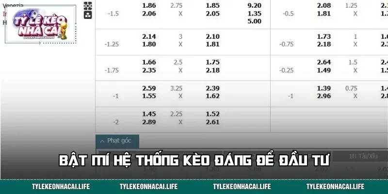 Bật mí hệ thống kèo đáng để đầu tư