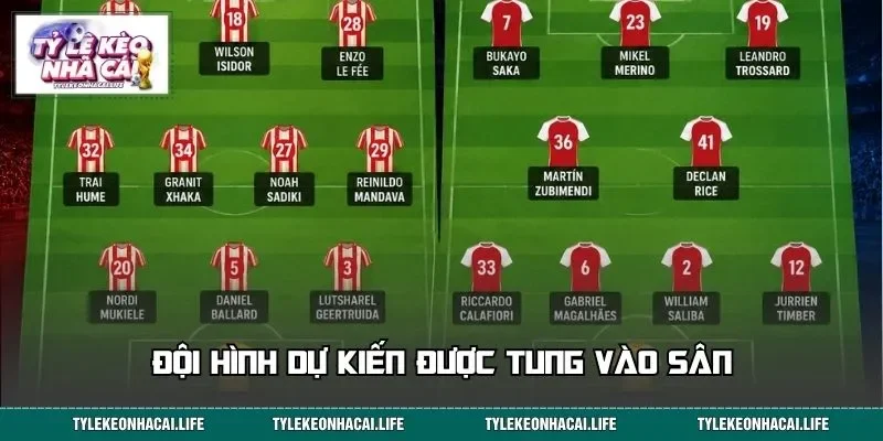 Đội hình dự kiến được tung vào sân