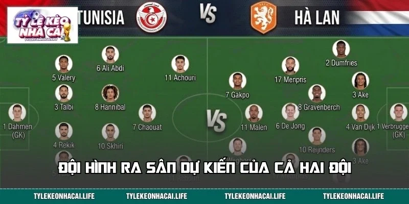 Đội hình dự kiến ra sân của các cầu thủ Tunisia vs Hà Lan