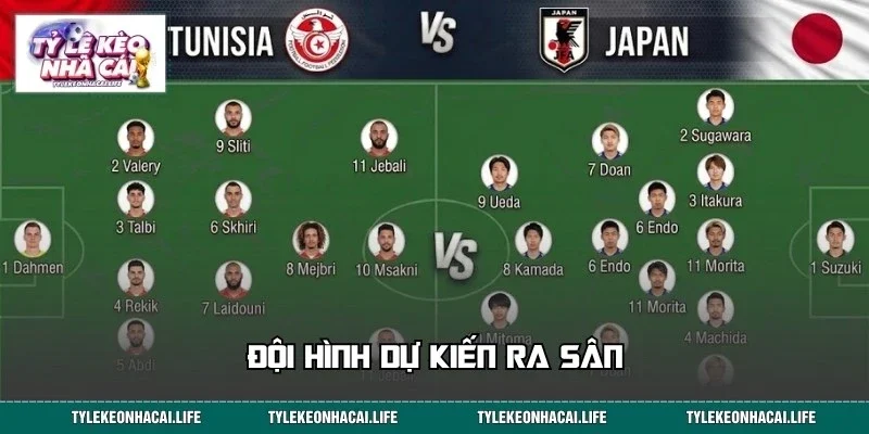 Lực lượng tham dự của hai đội tuyển Tunisia vs Nhật Bản